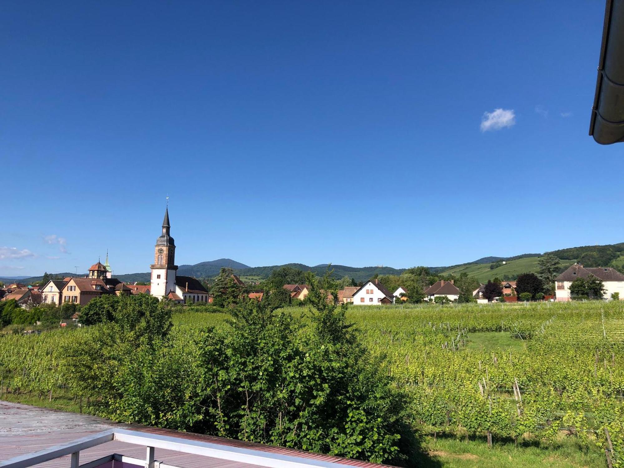 Domaine Rosfelder - Locations De Gite Et Cabane Insolite Gertwiller エクステリア 写真