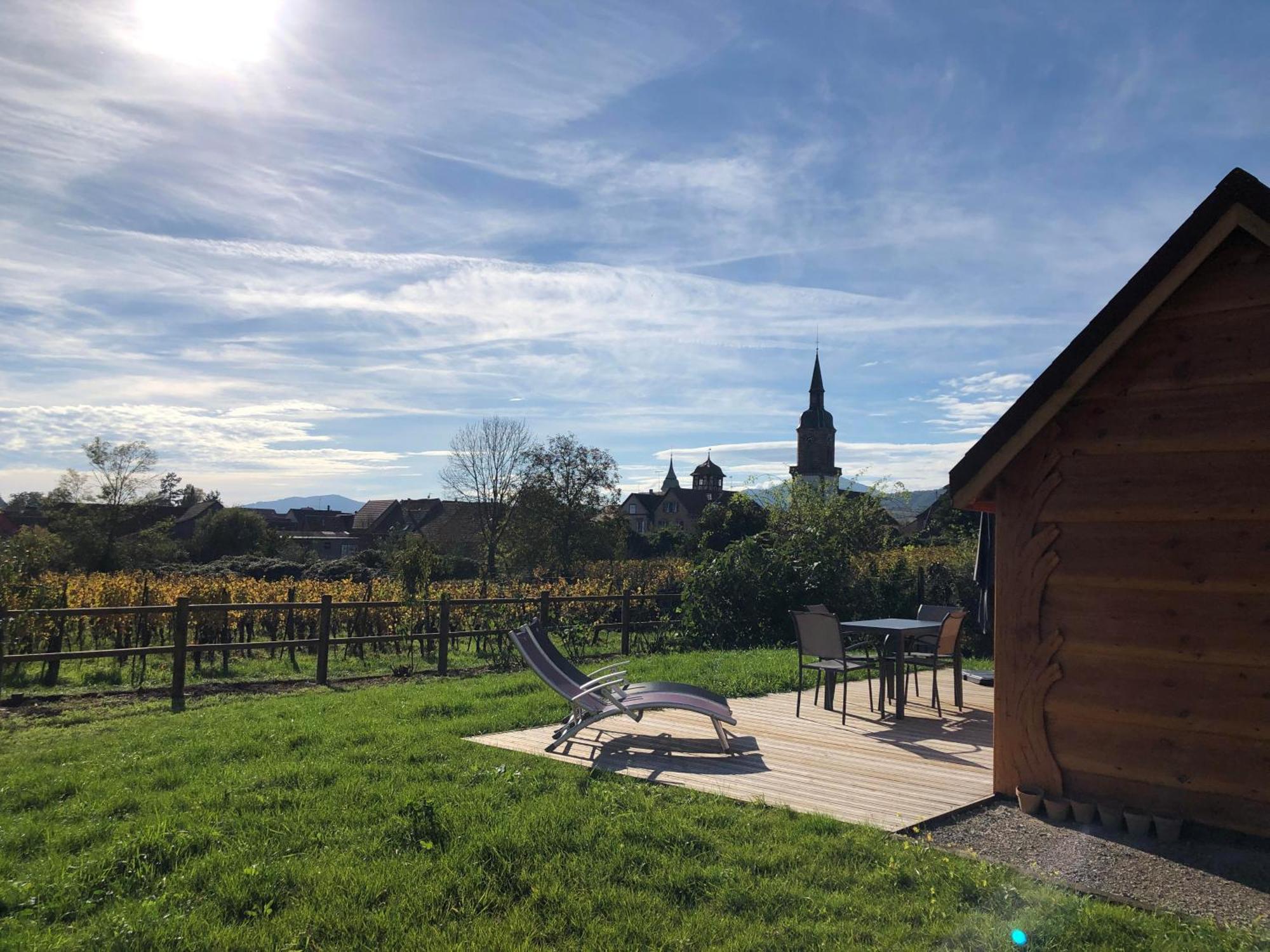 Domaine Rosfelder - Locations De Gite Et Cabane Insolite Gertwiller エクステリア 写真